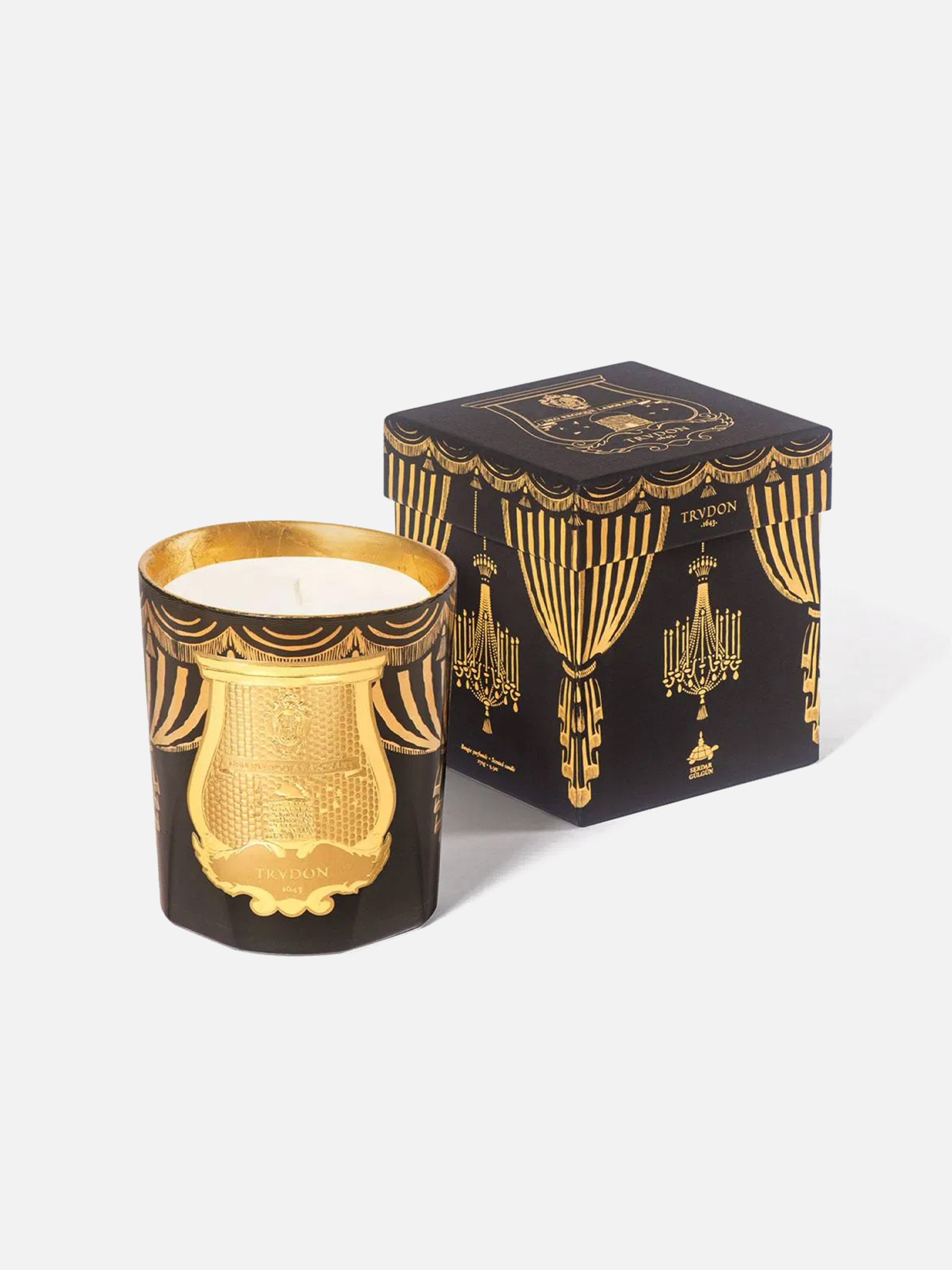 CIRE TRUDON - Weihnachtskerze Fir - 270g