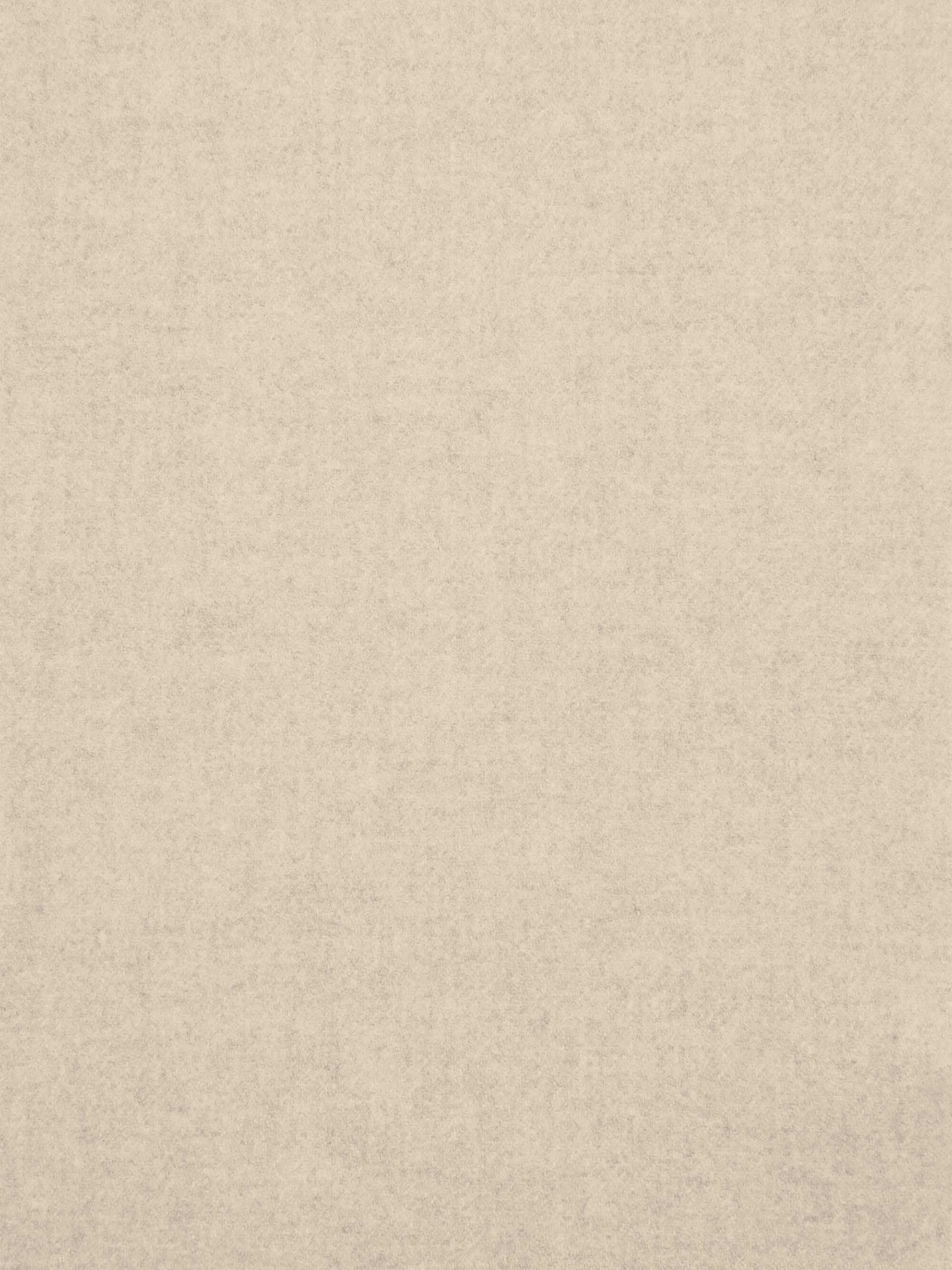 ACNE STUDIOS - Schal aus Wolle mit Logo-Detail in Beige Melange